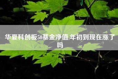 华夏科创板50基金净值,年初到现在涨了吗