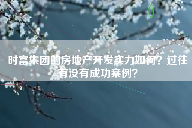 时富集团的房地产开发实力如何？过往有没有成功案例？