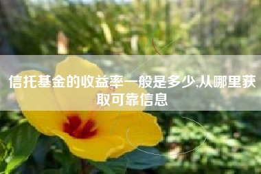 信托基金的收益率一般是多少,从哪里获取可靠信息