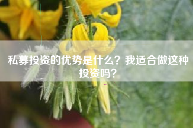 私募投资的优势是什么？我适合做这种投资吗？