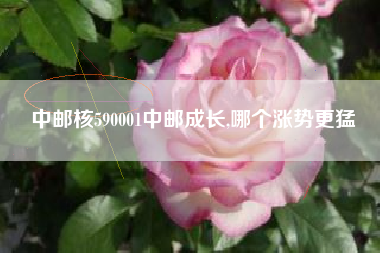 中邮核590001中邮成长,哪个涨势更猛
