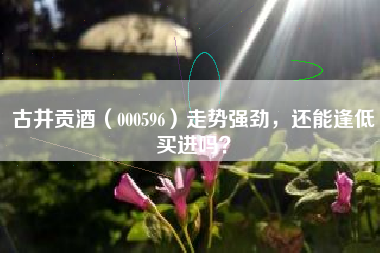 古井贡酒（000596）走势强劲，还能逢低买进吗？