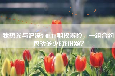 我想参与沪深300ETF期权避险，一组合约包括多少ETF份额？