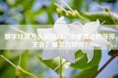 数字经济龙头股现身，谁是真正的涨停王者？爆发力如何？