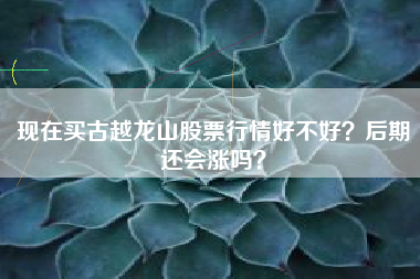 现在买古越龙山股票行情好不好？后期还会涨吗？