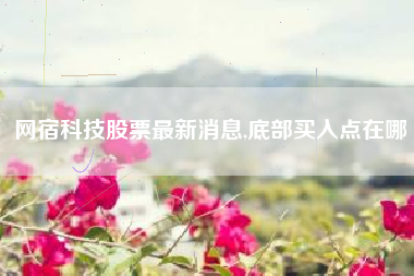 网宿科技股票最新消息,底部买入点在哪