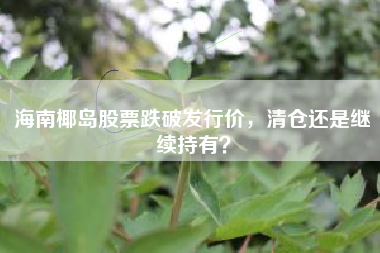 海南椰岛股票跌破发行价，清仓还是继续持有？