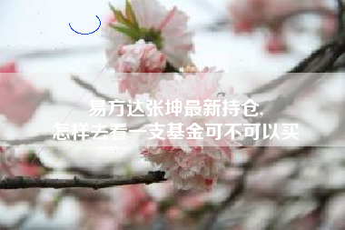 易方达张坤最新持仓,
怎样去看一支基金可不可以买