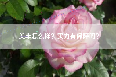 美丰怎么样？实力有保障吗？