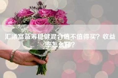 汇添富蓝筹稳健混合值不值得买？收益率怎么样？