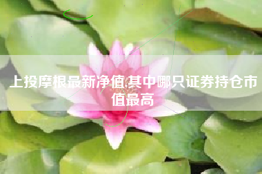 上投摩根最新净值,其中哪只证券持仓市值最高
