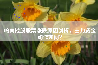 岭南控股股票涨跌原因剖析，主力资金动作如何？