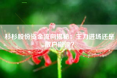 杉杉股份资金流向揭秘：主力进场还是散户撤退？