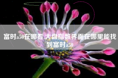 富时a50在哪看,大盘指数界面在哪里能找到富时a50