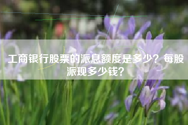 工商银行股票的派息额度是多少？每股派现多少钱？