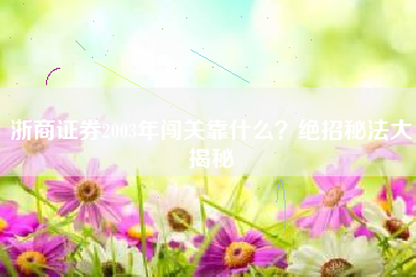浙商证券2003年闯关靠什么？绝招秘法大揭秘