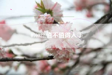 070022,值不值得入手