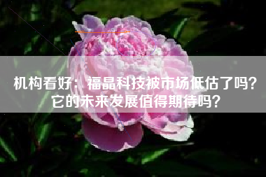 机构看好：福晶科技被市场低估了吗？它的未来发展值得期待吗？