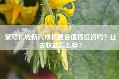 景顺长城新兴成长混合值得投资吗？过去收益怎么样？