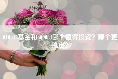 010942基金和600084哪个值得投资？哪个更稳定？