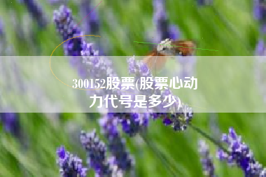 300152股票(股票心动
力代号是多少) 300152股票(股票心动
力代号是多少)