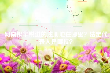 河南银华锐进的注册地在哪里？法定代表人是哪位？