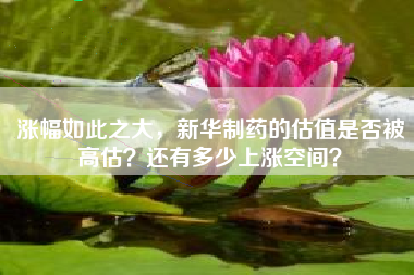 涨幅如此之大，新华制药的估值是否被高估？还有多少上涨空间？