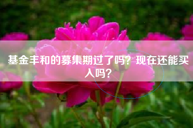 基金丰和的募集期过了吗？现在还能买入吗？