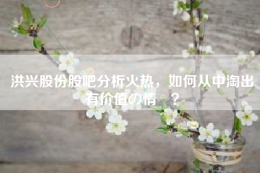洪兴股份股吧分析火热，如何从中淘出有价值の情報？
