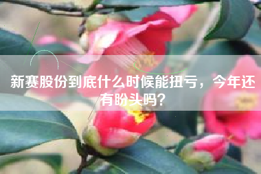 新赛股份到底什么时候能扭亏，今年还有盼头吗？