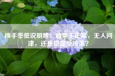 换手率低说明啥：股票不正常，无人问津，还是稳定受冷落？