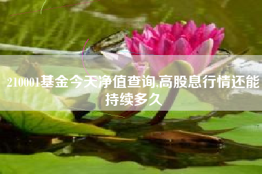 210001基金今天净值查询,高股息行情还能持续多久