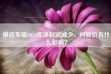 横店东磁2024年净利润减少，对股价有什么影响？
