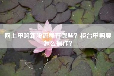 网上申购新股流程有哪些？柜台申购要怎么操作？
