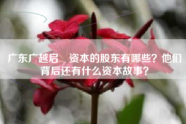 广东广越启昇资本的股东有哪些？他们背后还有什么资本故事？