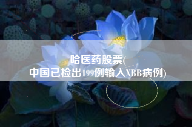 哈医药股票(
中国已检出199例输入XBB病例)