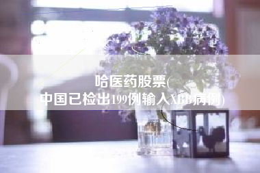 哈医药股票(
中国已检出199例输入XBB病例)