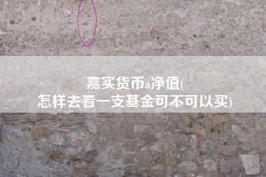 嘉实货币a净值(
怎样去看一支基金可不可以买)