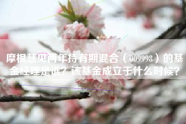 摩根慧见两年持有期混合（009998）的基金经理是谁？该基金成立于什么时候？