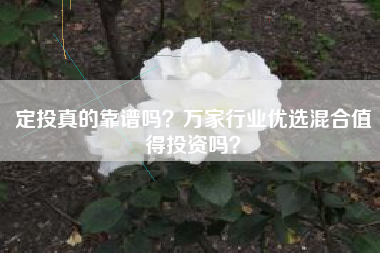 定投真的靠谱吗？万家行业优选混合值得投资吗？