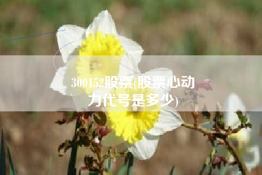 300152股票(股票心动
力代号是多少) 300152股票(股票心动
力代号是多少)
