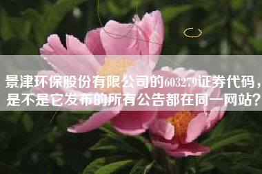 景津环保股份有限公司的603279证券代码，是不是它发布的所有公告都在同一网站？