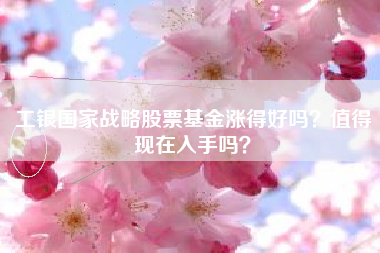 工银国家战略股票基金涨得好吗？值得现在入手吗？