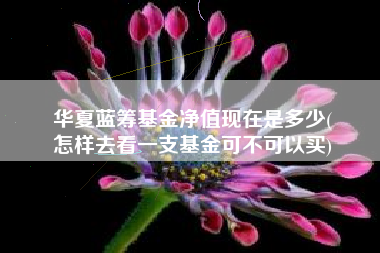华夏蓝筹基金净值现在是多少(
怎样去看一支基金可不可以买)