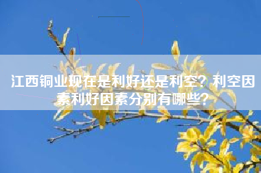 江西铜业现在是利好还是利空？利空因素利好因素分别有哪些？