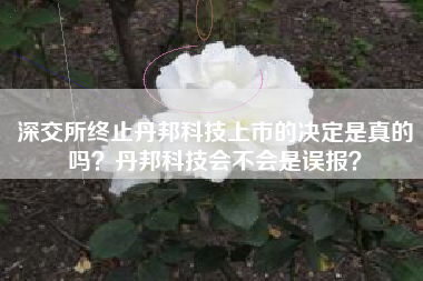 深交所终止丹邦科技上市的决定是真的吗？丹邦科技会不会是误报？
