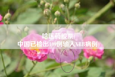 哈医药股票(
中国已检出199例输入XBB病例)