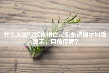 什么原因导致贵州百灵股票被提示风险警示，目前停牌？