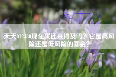 天天012330现在买还来得及吗？它是高风险还是低风险的基金？