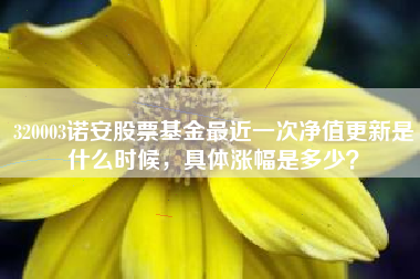 320003诺安股票基金最近一次净值更新是什么时候，具体涨幅是多少？